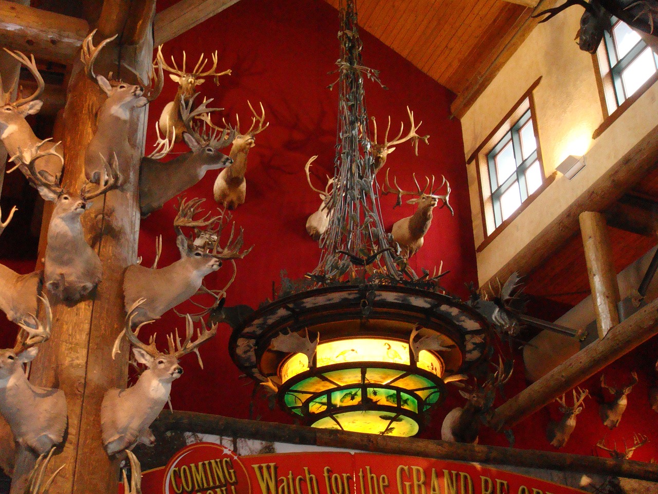 揭秘游戏世界，希赛克挑战难题大解析