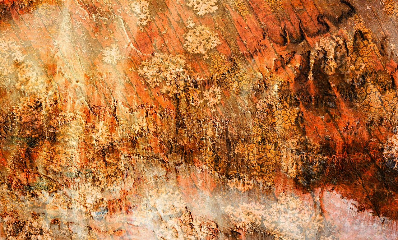 明日之后，土地开垦，为何种植无果？