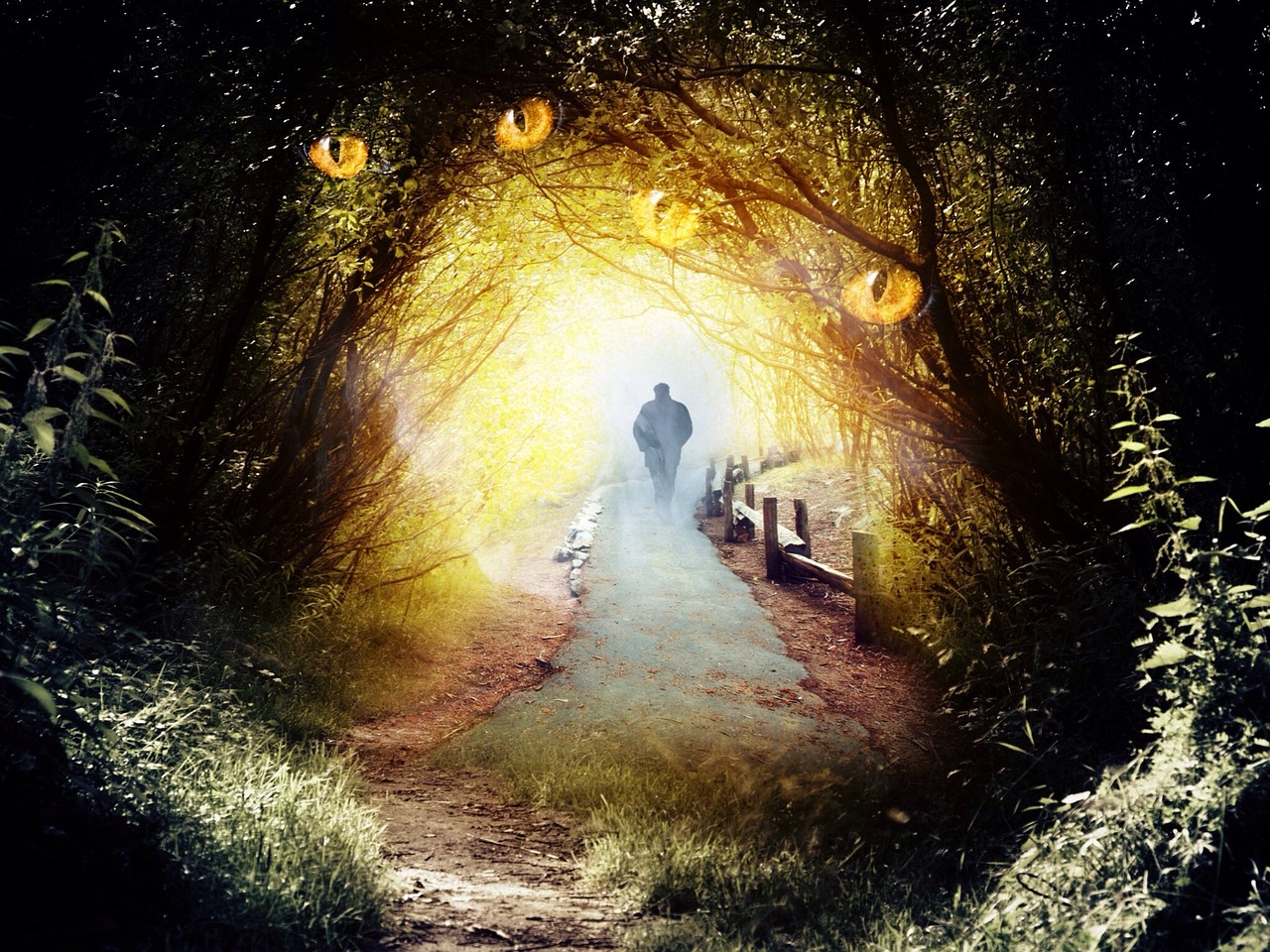 幻冥界之命运攻略，解锁秘境之门，踏上英雄之旅